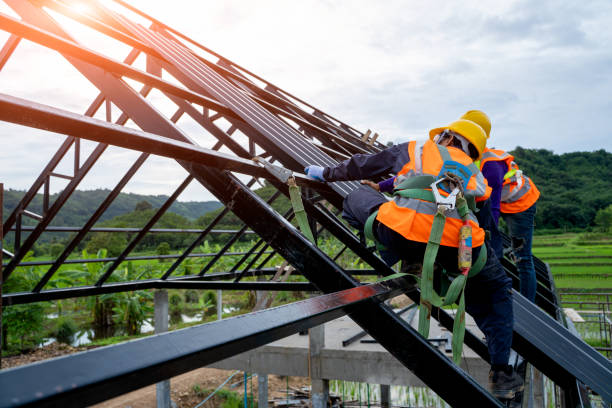 Best Roof Gutter Cleaning  in Reidsville, GA