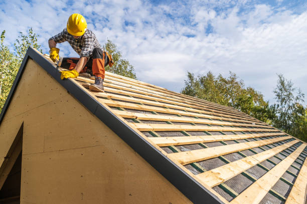 Best Sealant for Roof  in Reidsville, GA