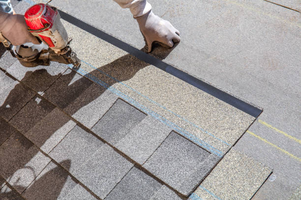 Best Roof Maintenance Services  in Reidsville, GA